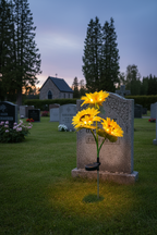 NordicBloom™ Solcellsdriven trädgårdslampa